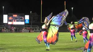 band butterfly dancer 